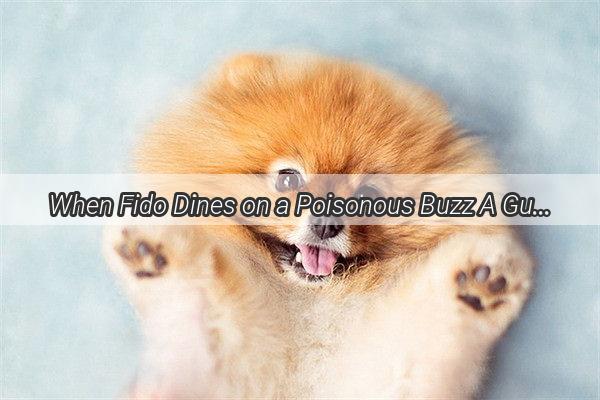 When Fido Dines on a Poisonous Buzz A Guide to Nipping Bee Venom in the Bud